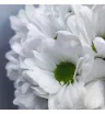 Композиция «Сердце не обманет» 3