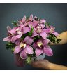 Коробочка с нежными орхидеями 1