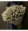 101 белых тюльпанов в букете в декоративной упаковке
