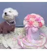 Композиция «Там где мечты» 3