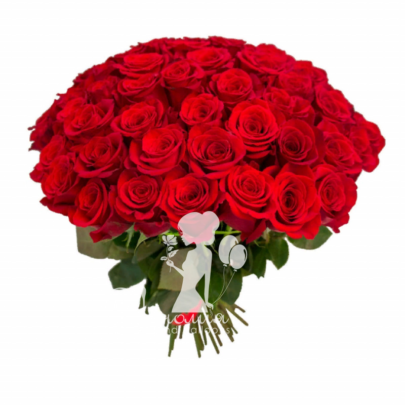 Букет Эквадорских роз «Алый глянец»