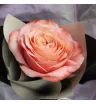 Букет«Королева цветов» 1
