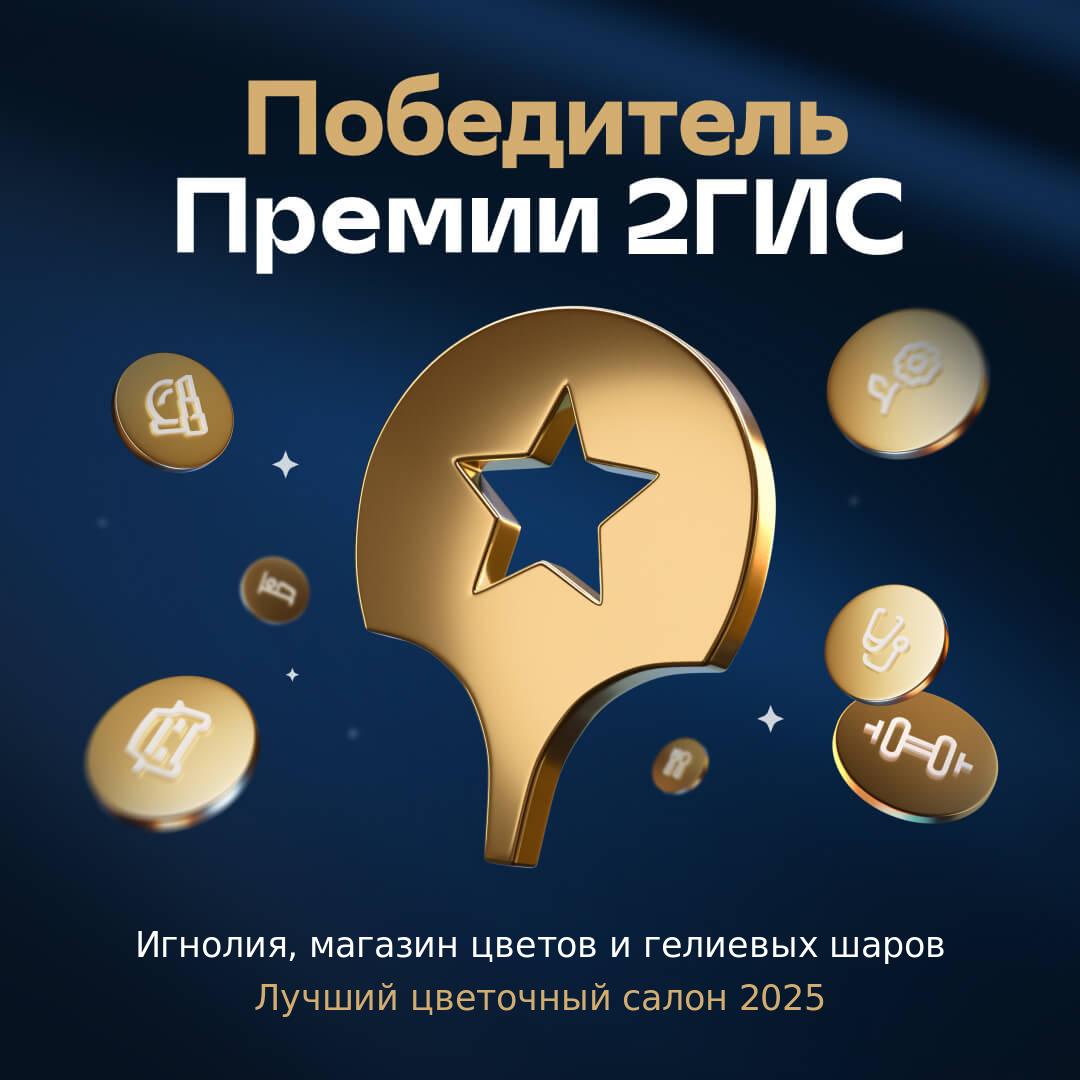 Премия 2ГИС 2025