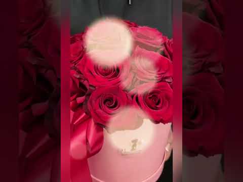 красные розы в круглой розовой шляпной коробке