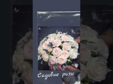 Композиция &laquo;Нежное создание&raquo;