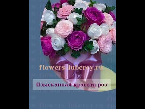 Композиция «Миранда»