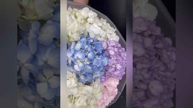 Букет «Неаполь»