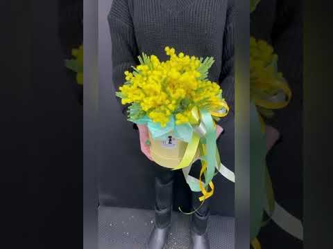 мимоза в шляпной коробке
