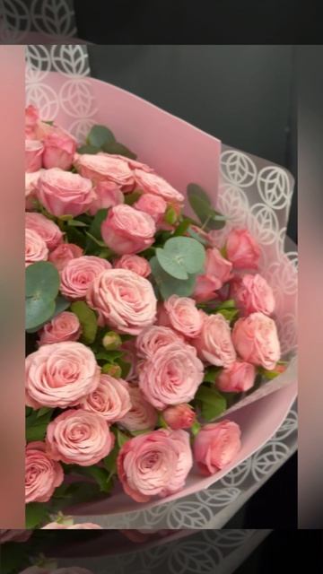 букет из 25 кустовых розовых роз с эвкалиптом