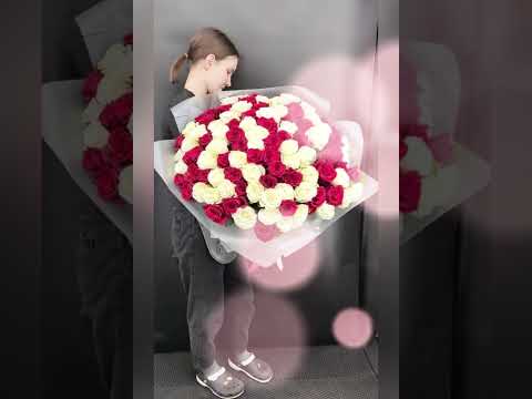 101 эквадорская роза красного и белого цвета в букете
