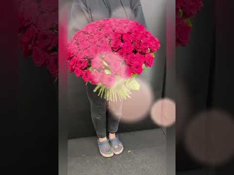 101 красная эквадорская роза в букете