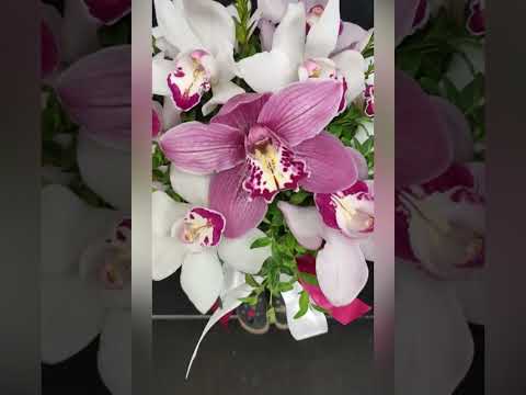 композиция из орхидей цимбидиум розовых и белых с зеленью в коробочке