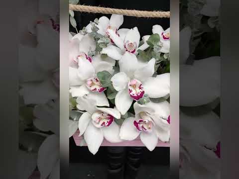 композиция из белых орхидей цимбидиум и эвкалипта в ящике