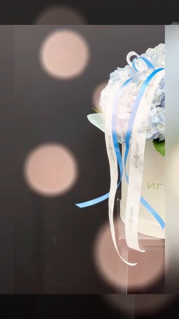 голубая гортензия с зелёной листвой в белой шляпной коробке