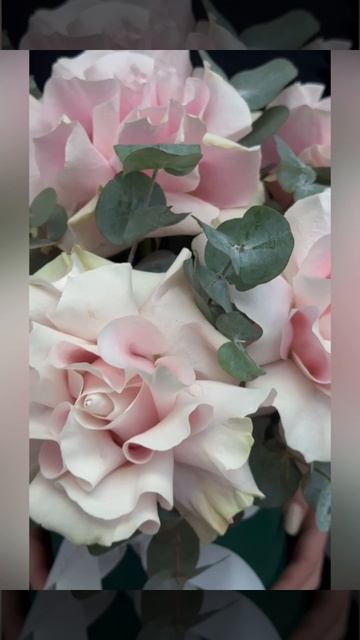 розовые французские розы с эвкалиптом в зелёной шляпной коробке