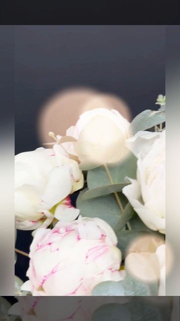 7 белых пионов с эвкалиптом в шляпной коробке