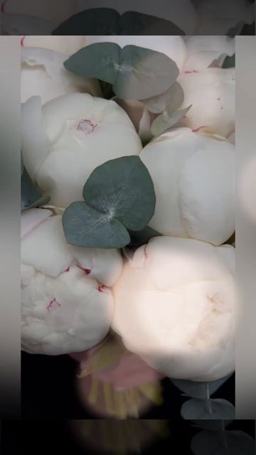 букет невесты из белых пионов с эвкалиптом