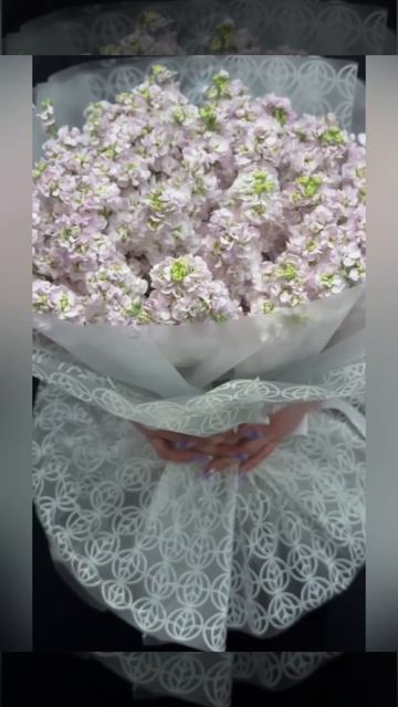 50 розовых маттиол в букете