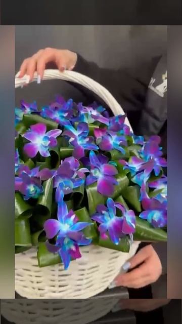 синие и фиолетовые орхидеи с зеленью в белой плетёной корзине