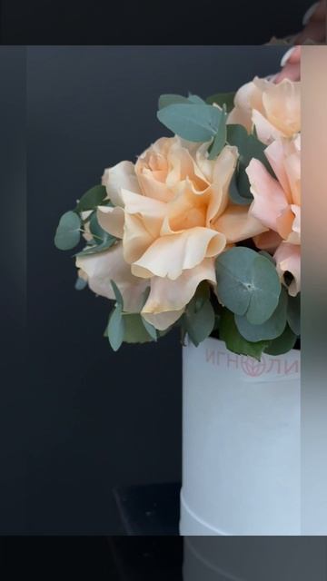 кремовые французские розы с эвкалиптом в белой шляпной коробке