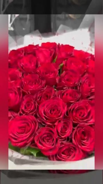Букет из 51 красной кенийской розы без упаковки