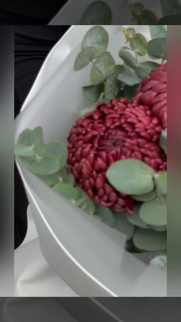 букет из белых и кремовых роз и бордовых хризантем Бигуди с эвкалиптом