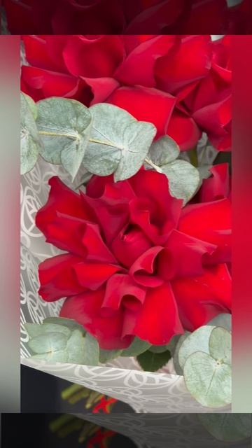 9 красных французских роз &laquo;Особое отношение &raquo;