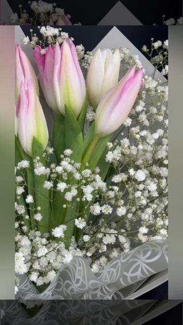 Букет из тюльпанов и гипсофилы &laquo;Тихий рассвет&raquo;