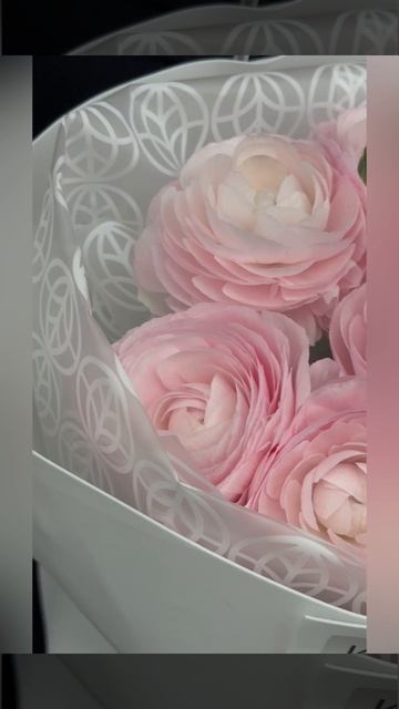 Букет из ранункулюсов и роз &laquo;Пудра и бархат&raquo;