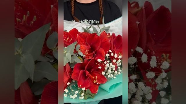 красные амариллисы с эвкалиптом и белой гипсофилой в букете.