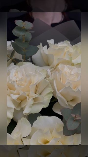 15 белых французских роз с эвкалиптом в букете.