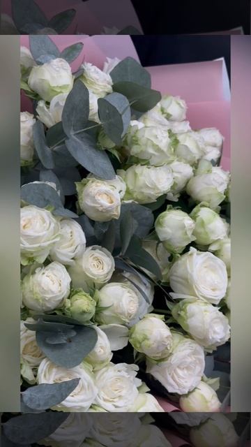 белые пионовидные кустовые розы с эвкалиптом