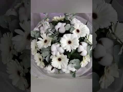 букет из белых гербер с хлопком и эвкалиптом