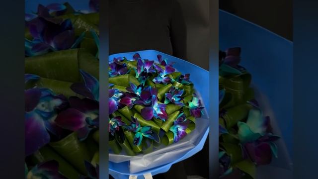 букет из синих орхидей дендробиум в голубой упаковке