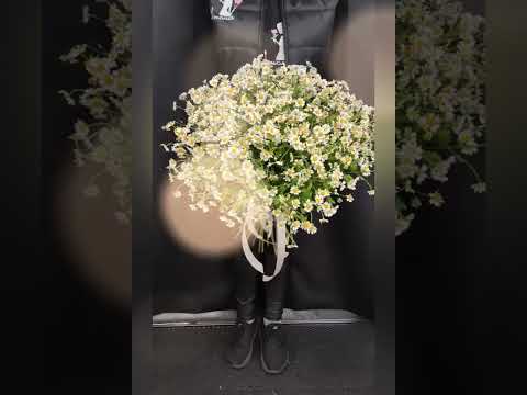 букет из кустовых ромашек.