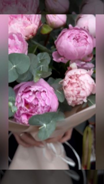 15 розовых пионов с эвкалиптом в букете