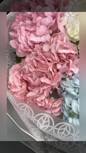 7 розовых,голубых и белых гортензий в букете.