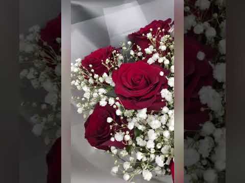 букет из красных роз и белой гипсофилы.