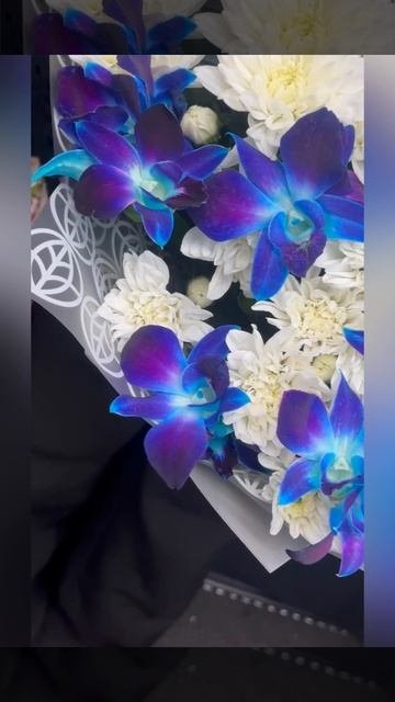 букет из белых хризантем и синих орхидей дендробиума в декоративной упаковке
