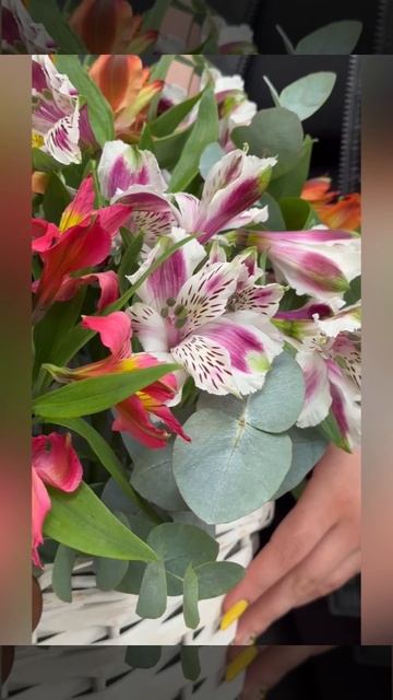 композиция из разноцветных альстромерий в белой корзине