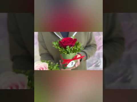 Композиция «Комплимент с розой»