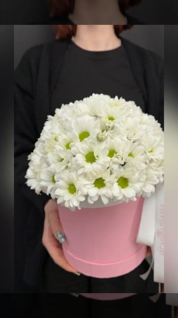 композиция из кустовых хризантем в круглой коробке