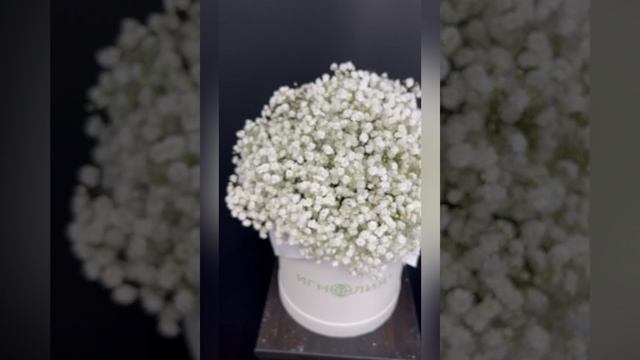 Композиция &laquo;Северный кристалл&raquo;