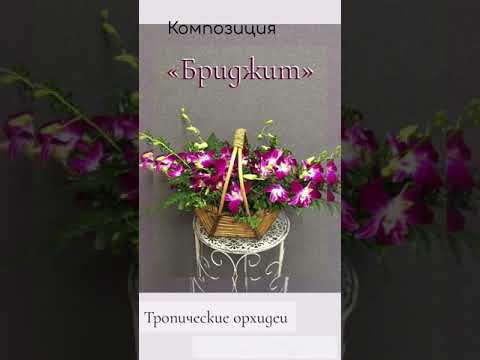Композиция «Бриджит»