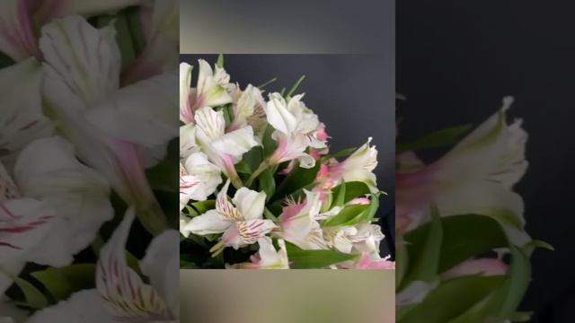 Композиция «Совершенство»