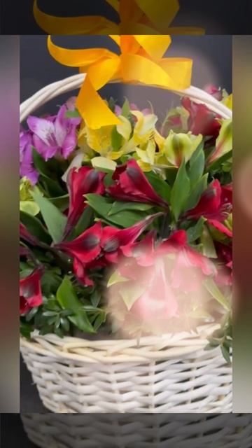 Композиция &laquo;Акапулько&raquo;