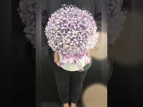 Композиция &laquo;Жемчужные сады&raquo;