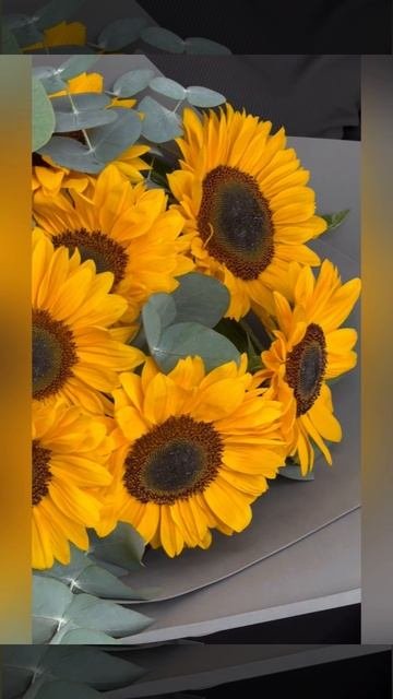 букет из 9 подсолнухов с эвкалиптом.