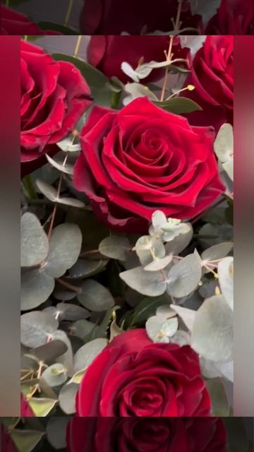 букет из красных роз с эвкалиптом