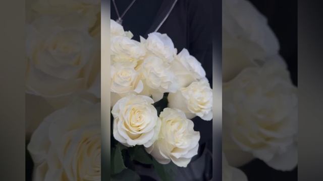 букет из 11 белых эквадорских роз с эвкалиптом в всетлой упаковке